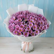 Букет цветов из:  Хризантемы в Нарьян-Маре