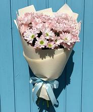 Букет Розовые хризантемы