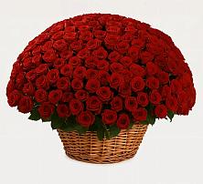 Премиум букет из: Розы в Нарьян-Маре