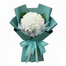 Букет цветов из:  Гортензия в Нарьян-Маре